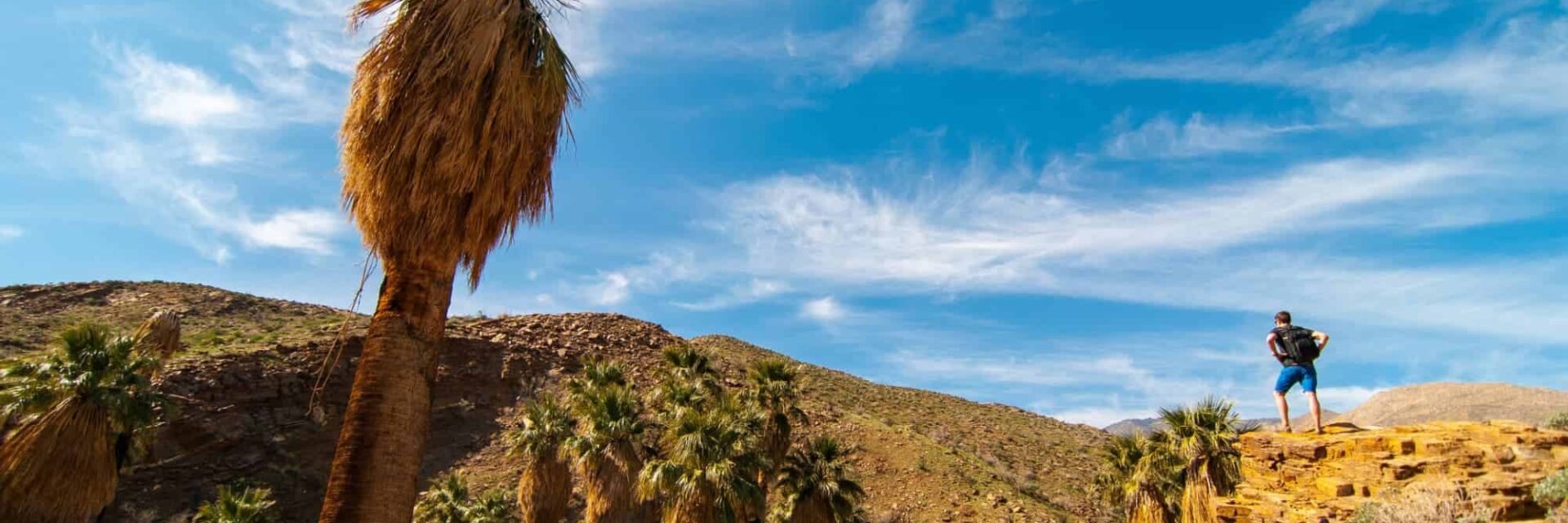 hiking trails in palm springs area